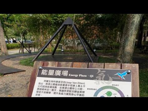 南港公園 能量